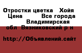 Отростки цветка  “Хойя“ › Цена ­ 300 - Все города  »    . Владимирская обл.,Вязниковский р-н